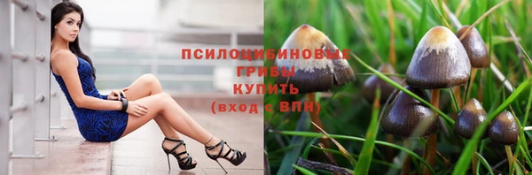 альфа пвп Бородино