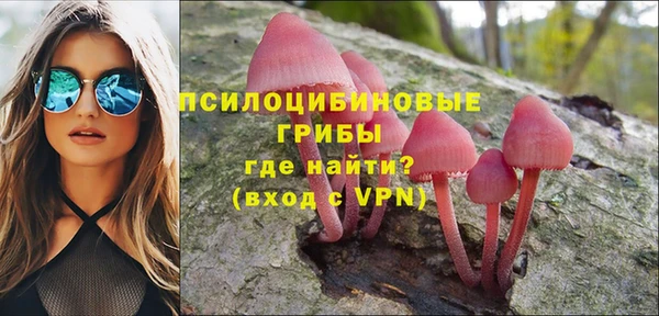 альфа пвп Бородино