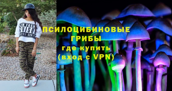альфа пвп Бородино