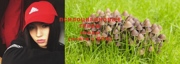 альфа пвп Бородино