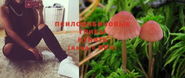 СК Бугульма
