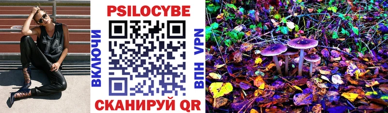 Купить  Иннополис  Галлюциногенные грибы мицелий 